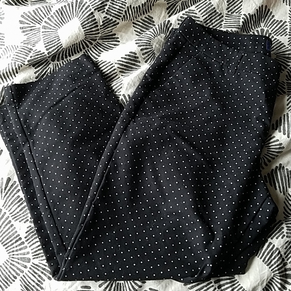 Dress Pants